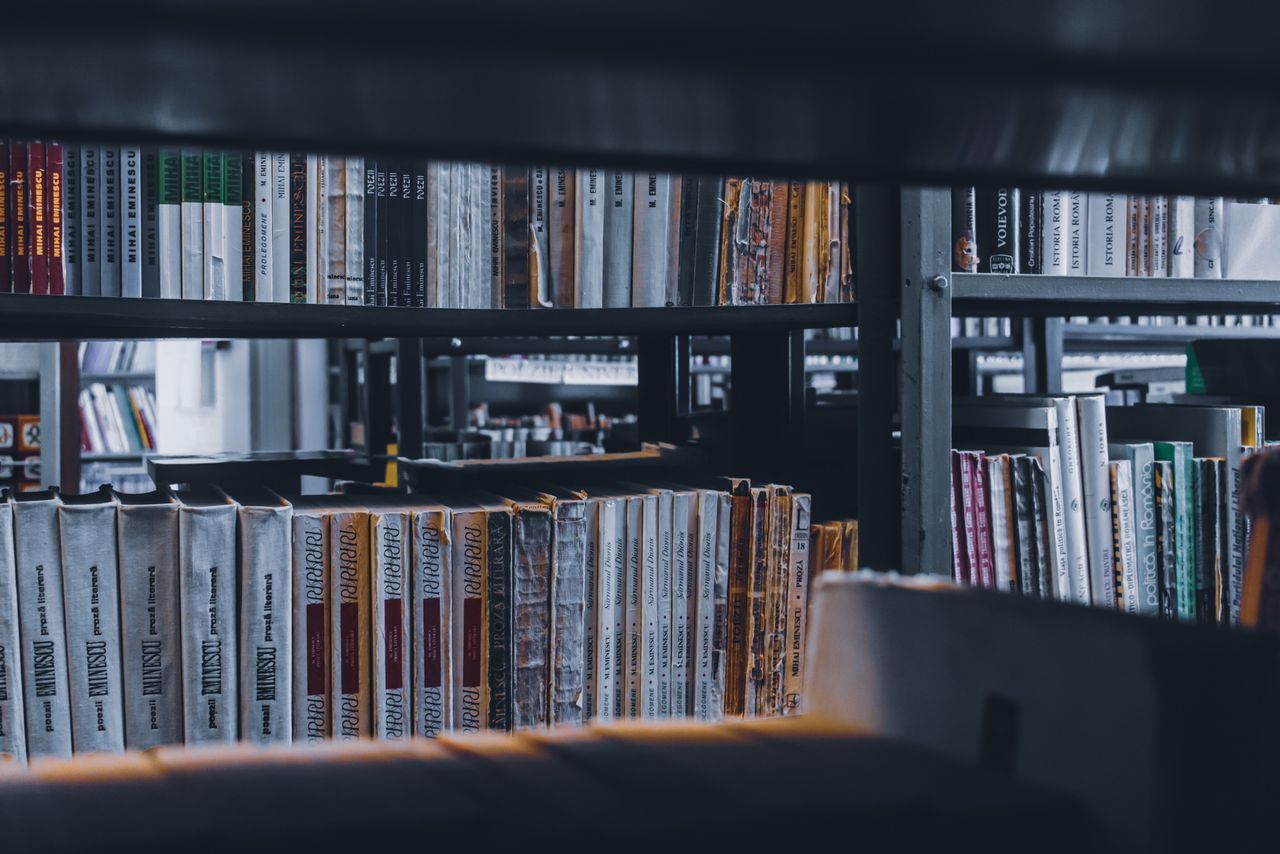 Stacks of various books placed in row on shelf in university library in daylight